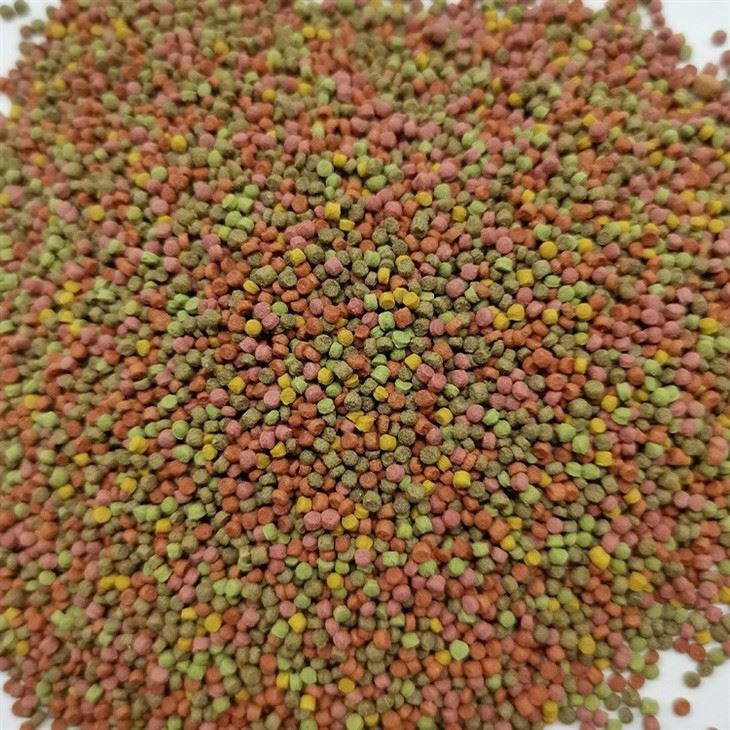 Parrot Bird Pellets Parrot Bird Pellets