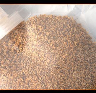 Best Dried Daphnia Aquarium Fish Food