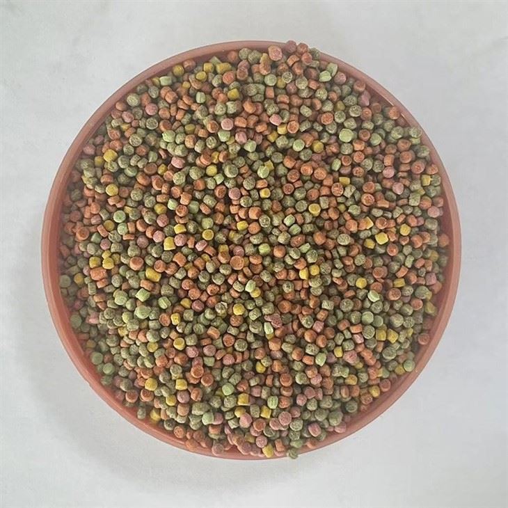 Picky Baby Siberian Rubythroatl Bird Feed Picky Baby Siberian Rubythroatl Bird Feed