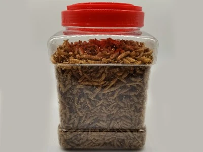 MD black soldier fly larvae MD black soldier fly larvae