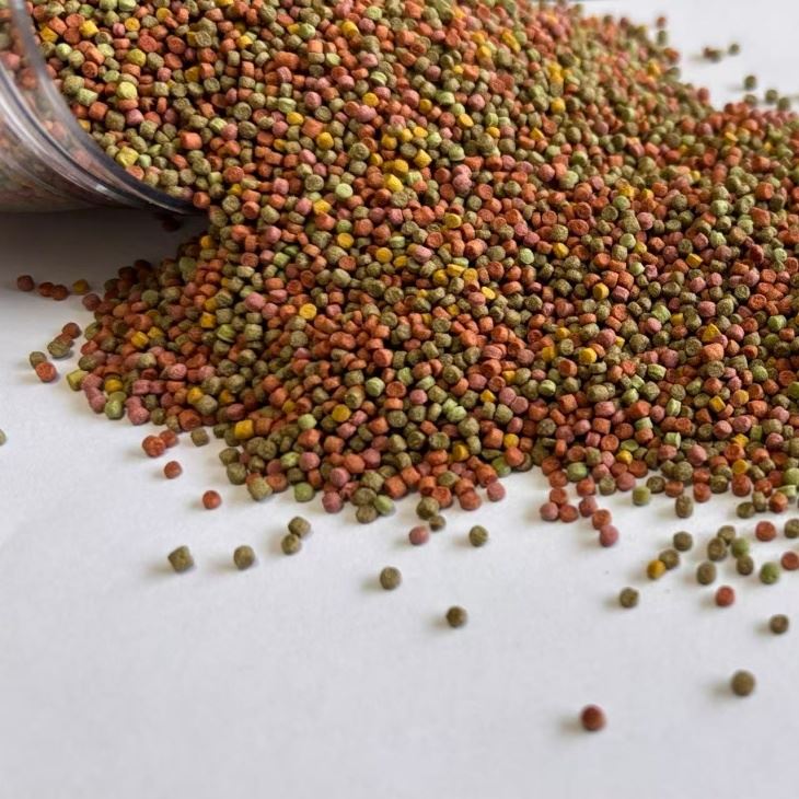 Parrot Bird Pellet food Parrot Bird Pellet food